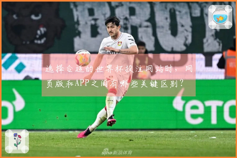 选择合适的世界杯投注网站时，网页版和APP之间有哪些关键区别？