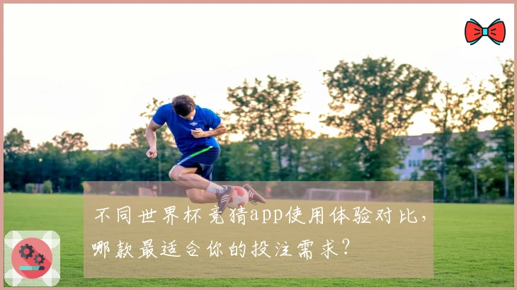 不同世界杯竞猜app使用体验对比，哪款最适合你的投注需求？